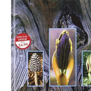 Patrick's Florilegium