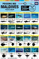 Maldives Guide Des Poissons: Le Top 200+ (French)