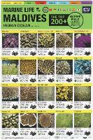 Maldives Marine Life Field Guide