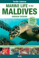 Marine Life of the Maldives - Indian Ocean