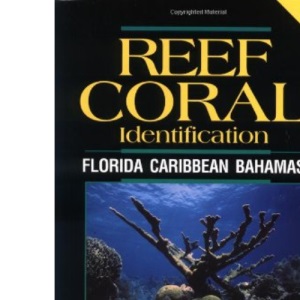 Reef Coral Identification: Florida, Caribbean, Bahamas (Reef Set)