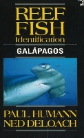 Reef Fish Identification