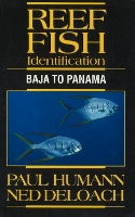 Reef Fish Identification