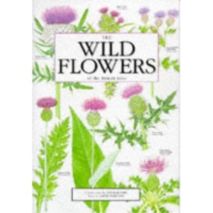 The Wild Flowers of the British Isles