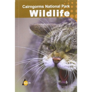 Cairngorms National Park Wildlife: Spot on