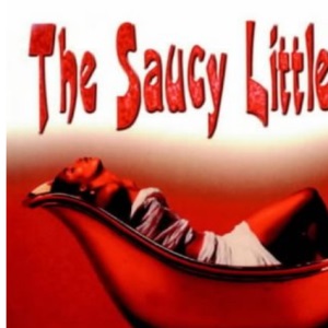 The Saucy Little Cookbook