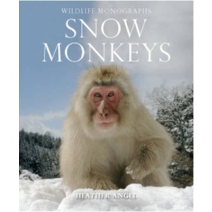 Snow Monkeys: The Gentle Giants of the Forest (Wildlife Monographs)