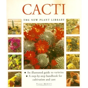 Cacti : (The New Plant Library)
