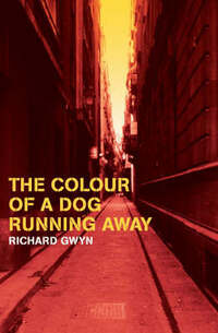 The Colour of a Dog Running Away