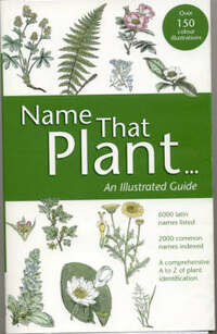 Name That Plant: An Illustrated Guide