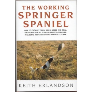The Working Springer Spaniel