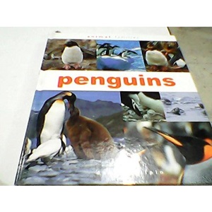 penquins (animal families)