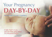 Your Pregnancy Day-by-Day