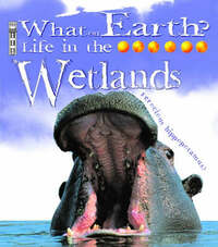 Wetlands (What on Earth) (What on Earth S.)