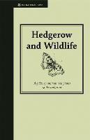 Hedgerow & Wildlife