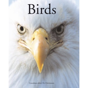 ENCYCLOPEDIA OF DINOSAURS