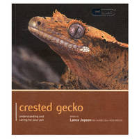 Crested Gecko - Pet Expert