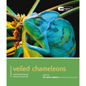 Veiled Chameleons - Pet Expert
