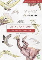 Avian Anatomy 2nd Edition