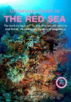 An Underwater Guide to the Red Sea (2nd)