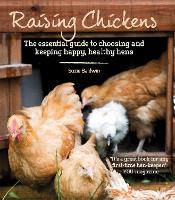 Raising Chickens