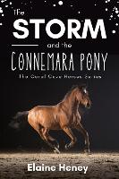 The Storm and the Connemara Pony