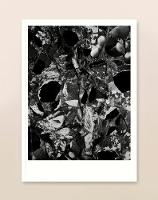 The White Review No.28