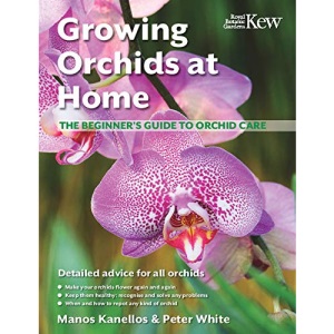 Growing Orchids at Home. The beginners guide to Orchid care.