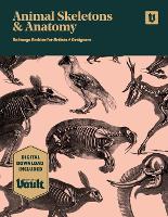 Animal Skeletons and Anatomy