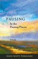 Pausing in the Passing Places