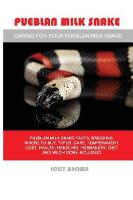 Pueblan Milk Snake