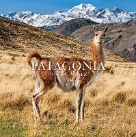 Patagonia National Park: Chile
