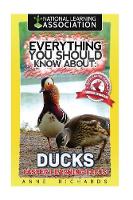 Everything You Should Know About