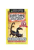 Everything You Should Know About