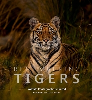 Remembering Tigers