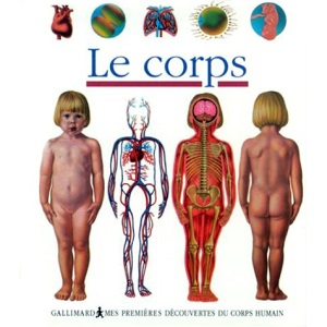 Le corps