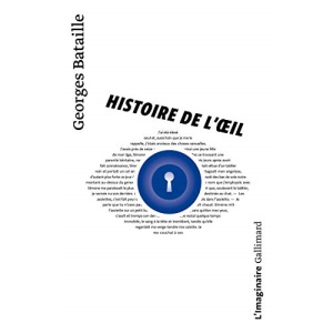 Histoire de l'oeil