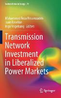 Transmission Network Investment in Liberalized Power Markets