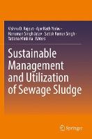 Sustainable Management and Utilization of Sewage Sludge