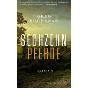 Sechzehn Pferde