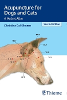 Acupuncture for Dogs and Cats