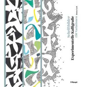 Schriftbilder - experimentelle Kalligrafie: 150 Variationen
