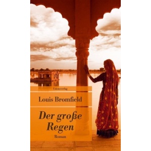 Der grosse Regen