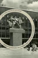 Socialist Internationalism in the Cold War