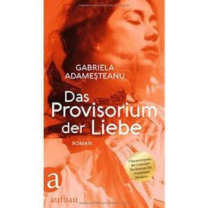Das Provisorium der Liebe: Roman