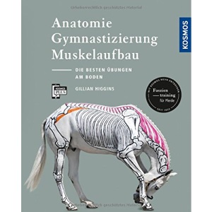 Anatomie, Gymnastizierung, Muskelaufbau: Die besten Übungen für Pferde am Boden