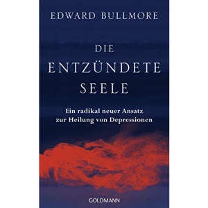 Die entzündete Seele: Ein radikal neuer Ansatz zur Heilung von Depressionen