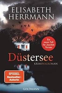 Düstersee: Kriminalroman