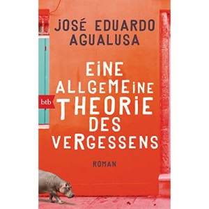 Eine allgemeine Theorie des Vergessens: Roman