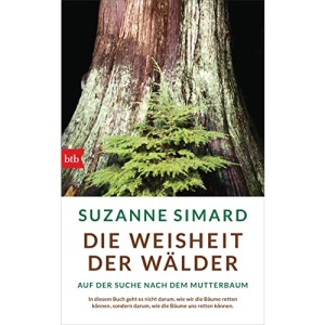 Die Weisheit der Wälder: Auf der Suche nach dem Mutterbaum